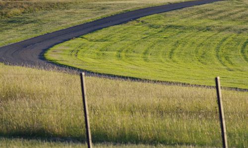 Scenic view of agricultural field