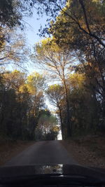 Road amidst trees in forest