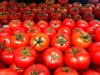 High angle view of tomatoes for sale at market stall