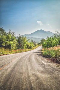 Country road along trees