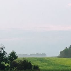 Trees on countryside landscape