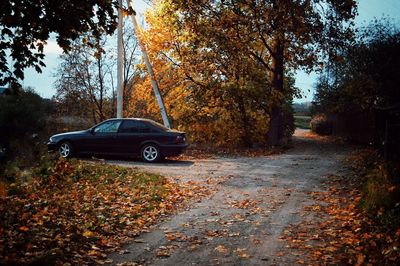 Car parked on road amidst trees during autumn