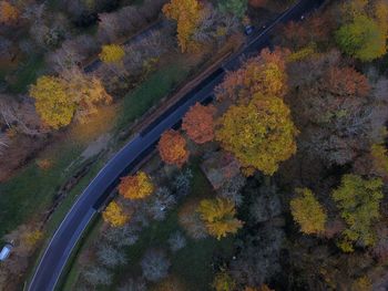 Aerial view of road amidst autumn trees in forest