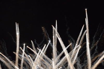 Low angle view of fireworks against sky at night