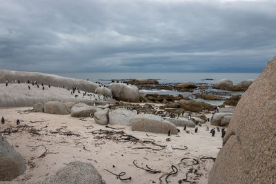 Panoramic view of beach against sky