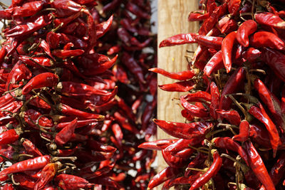 Close-up of red for sale in market