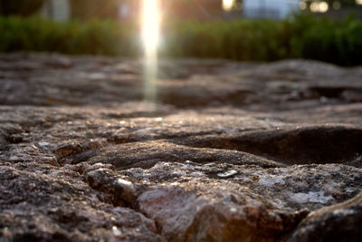 Surface level of rocks on land