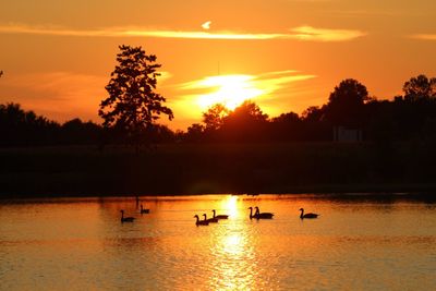 Scenic view of lake and silhouette trees against sky during sunset