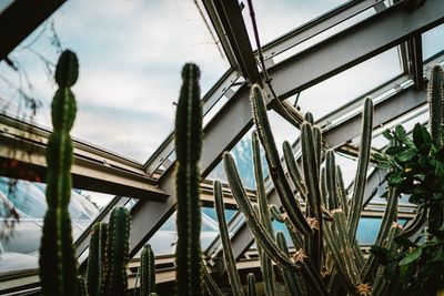 Low angle view of glass building against sky