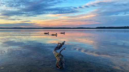 Scenic view of sea during sunset