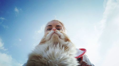 Low angle portrait of dog against sky