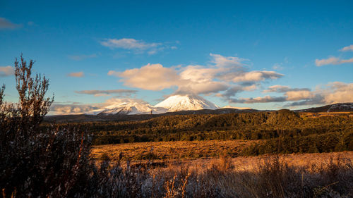 Scenic view of landscape against sky