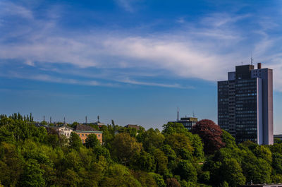 Trees against cloudy sky