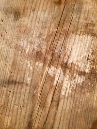 Close-up of wooden plank