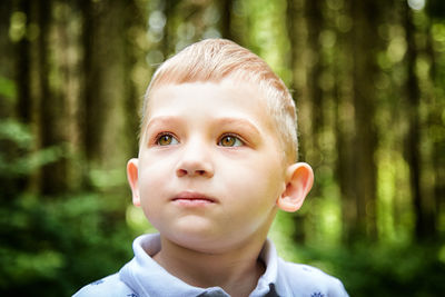 Portrait of boy