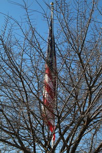 Low angle view of bare tree against sky