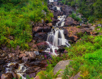 Waterfall in forest