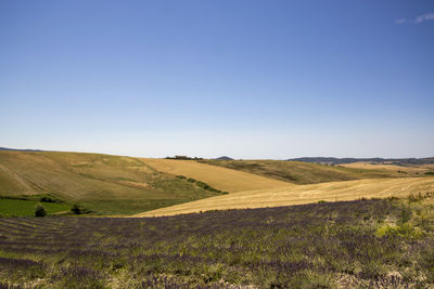 Scenic view of landscape against clear sky