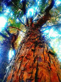 Low angle view of tree against sky