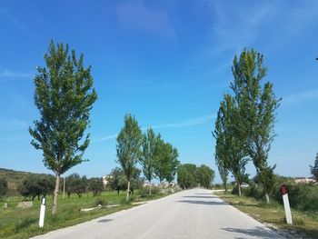 Empty road amidst trees against blue sky