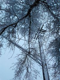 Low angle view of bare tree against clear sky