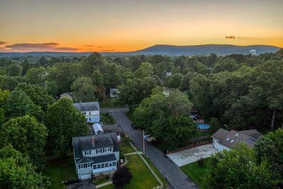 High angle view of trees and plants at sunset