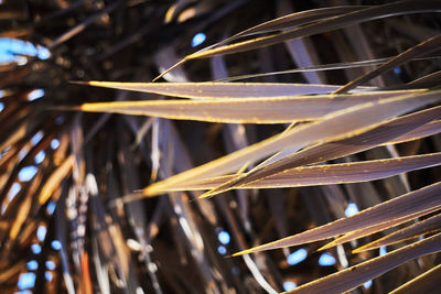 Close-up of illuminated lighting equipment at night