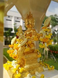 Close-up of yellow flower
