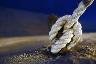 Close-up of rope tied on rock