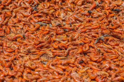 Full frame shot of shrimps at market