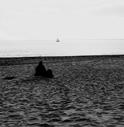 View of birds on sea against sky