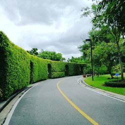 Road amidst trees against sky