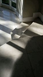 Shadow of people on tiled floor