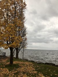 Scenic view of sea against sky during autumn