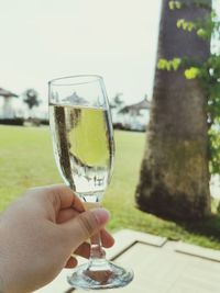 Person holding glass of drink