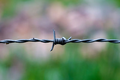 Close-up of barbed wire fence