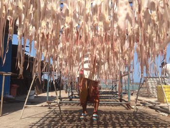 Sea food hanging out to dry