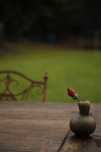 Close-up of a rose on table