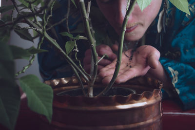 Close-up of hand holding plant