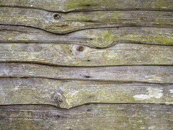 Close crop of mouldy wooden slats on an old garden fence ideal for a background