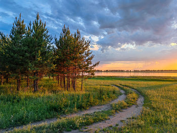 Scenic view of agricultural field against sky