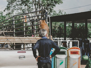 Rear view of man standing against plants