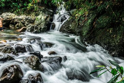 Scenic view of waterfall in forest