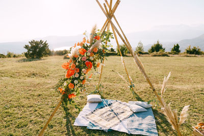 Scenic view of field against sky