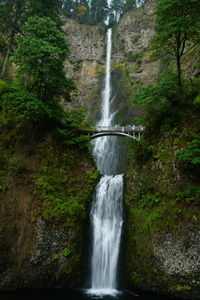 Scenic view of waterfall in forest