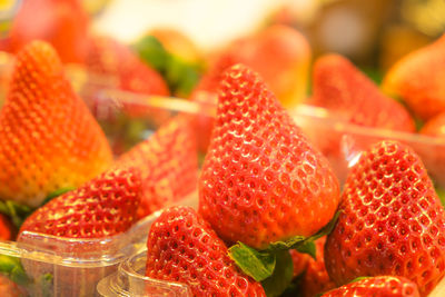 Close-up of fruits for sale in market