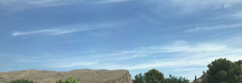 Low angle view of trees against sky