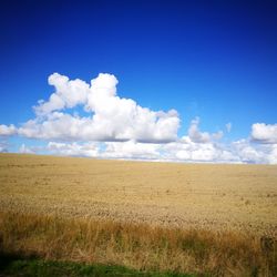 Scenic view of field against blue sky