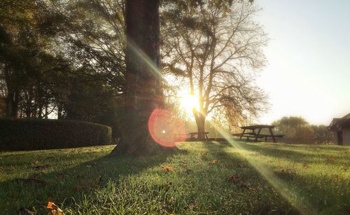 Scenic view of grassy field against sky at sunset