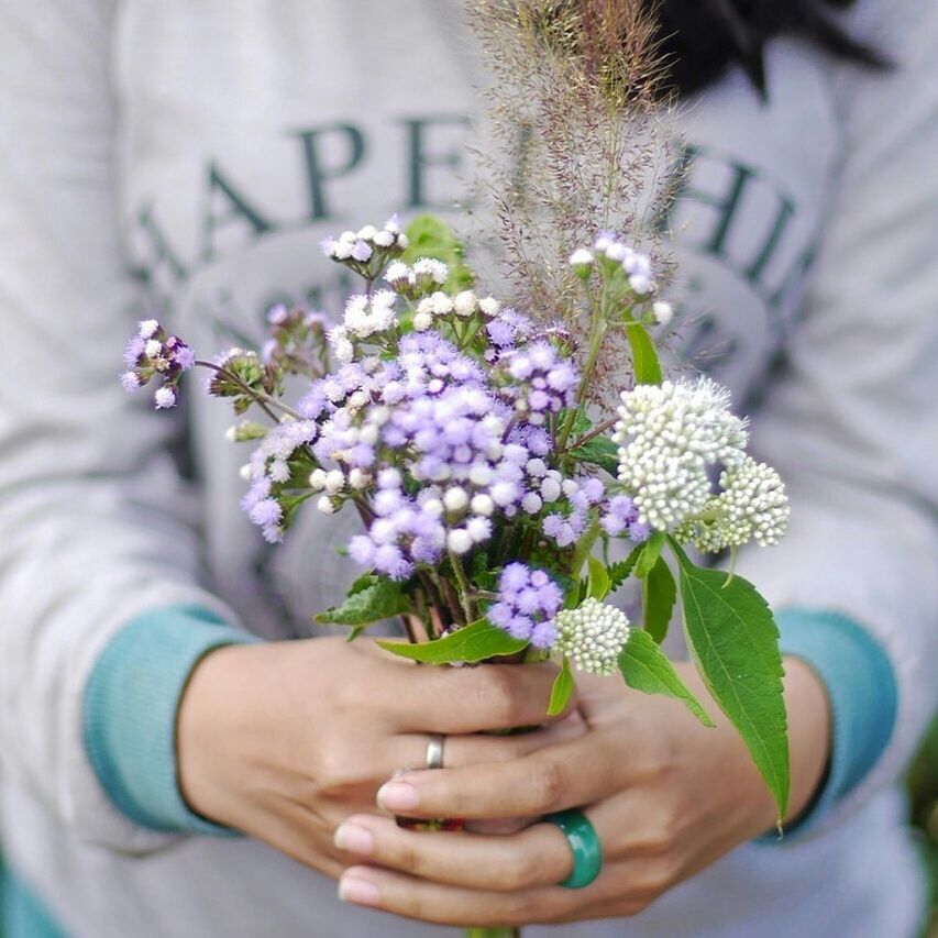 person, flower, holding, freshness, lifestyles, part of, leisure activity, unrecognizable person, cropped, focus on foreground, fragility, human finger, plant, purple, growth, personal perspective